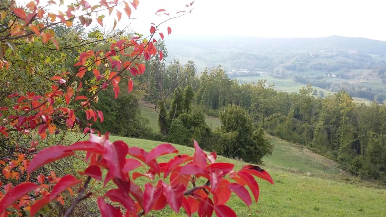 Uno Chalet Nel Bosco Villa Lama Mocogno Buitenkant foto